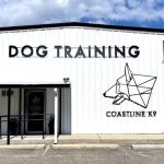 Top Dog Training Strategies in Crestview, FL