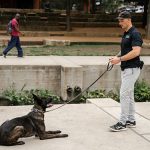 Transform Your Dog’s Behavior with Off-Leash K9 Training in San Antonio